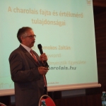 Kovászna 2013